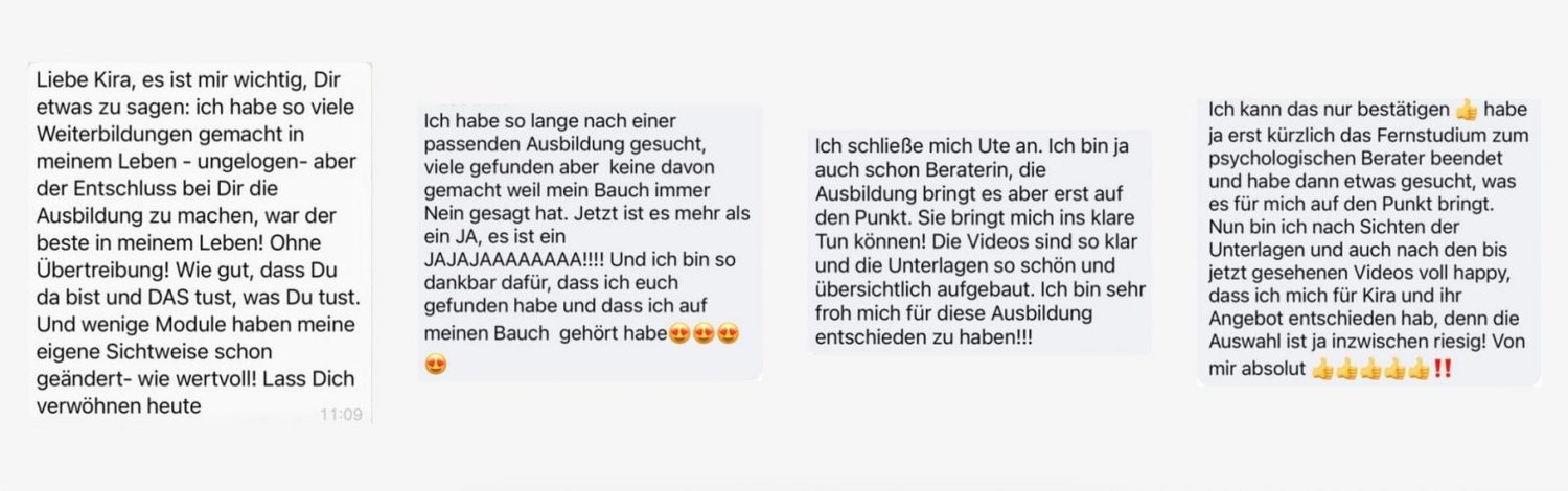 Teilnehmerstimmen